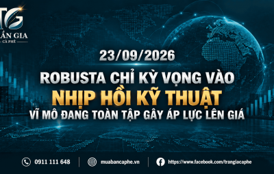 23/09/2026 - ROBUSTA CHỈ KỲ VỌNG VÀO NHỊP HỒI KỸ THUẬT, VĨ MÔ ĐANG TOÀN TẬP GÂY ÁP LỰC LÊN GIÁ