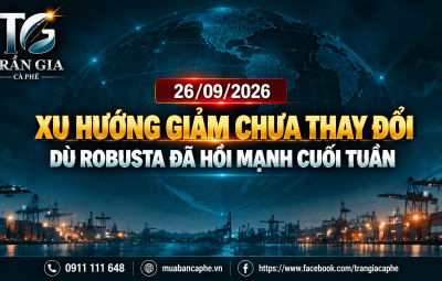 26/09/2026 – XU HƯỚNG GIẢM CHƯA THAY ĐỔI DÙ ROBUSTA HỒI MẠNH CUỐI TUẦN