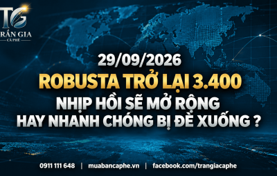 29/09/2026 – ROBUSTA TRỞ LẠI 3.400: NHỊP HỒI SẼ MỞ RỘNG HAY NHANH CHÓNG BỊ ĐÈ XUỐNG?
