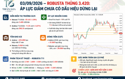 03/09/2026 – ROBUSTA THỦNG 3.420: ÁP LỰC GIẢM CHƯA CÓ DẤU HIỆU DỪNG LẠI 
