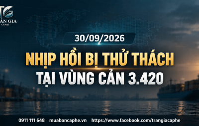 30/09/2026 – ROBUSTA GẶP CẢN 3.420: NHỊP HỒI BẮT ĐẦU GẶP THỬ THÁCH