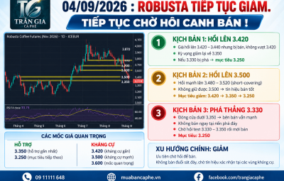 04/09/2026 - GIÁ TIẾP TỤC GIẢM, HỒI LÀ HỢP LÝ NHƯNG SẼ KHÔNG MUA BẮT ĐÁY !
