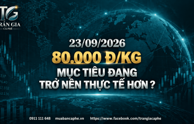 GIÁ CÀ PHÊ 80.000 ĐỒNG/KG – MỤC TIÊU ĐANG DẦN TRỞ NÊN THỰC TẾ HƠN?