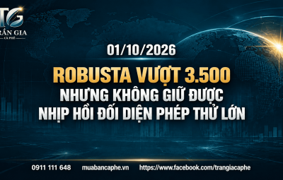 01/10/2026 – ROBUSTA VƯỢT 3.500 NHƯNG KHÔNG GIỮ ĐƯỢC: NHỊP HỒI ĐỐI DIỆN PHÉP THỬ LỚN