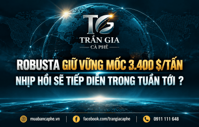 11/10/2026 – ROBUSTA GIỮ ĐƯỢC MỐC 3.400: NHỊP PHỤC HỒI CÓ TIẾP DIỄN TRONG TUẦN TỚI?