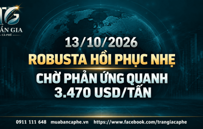 13/10/2026 – ROBUSTA HỒI PHỤC NHẸ: CHỜ PHẢN ỨNG QUANH 3.470 USD/TẤN