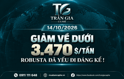 14/10/2026 – ROBUSTA QUAY ĐẦU GIẢM: VÙNG 3.400 KHÔNG GIỮ ĐƯỢC THÌ TOANG!