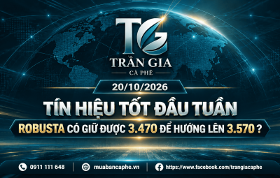 20/10/2026 – ROBUSTA LẤY LẠI MỐC 3.470 USD/TẤN: NHỊP PHỤC HỒI HƯỚNG ĐẾN VÙNG KHÁNG CỰ 3.570?