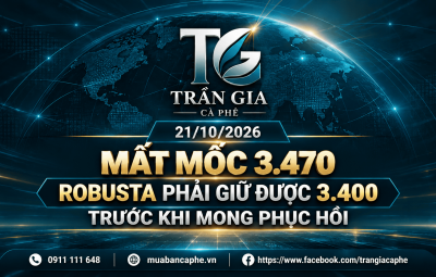 21/10/2026 – ROBUSTA THẤT BẠI TẠI 3.500 USD/TẤN: ÁP LỰC NGUỒN CUNG GIA TĂNG, XU HƯỚNG GIẢM TRUNG HẠN TIẾP TỤC CHIẾM ƯU THẾ