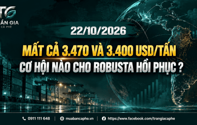 22/10/2026 – ROBUSTA THỦNG MỐC 3.400 USD/TẤN: ÁP LỰC NGUỒN CUNG GIA TĂNG, XU HƯỚNG GIẢM TRUNG HẠN ĐƯỢC CỦNG CỐ