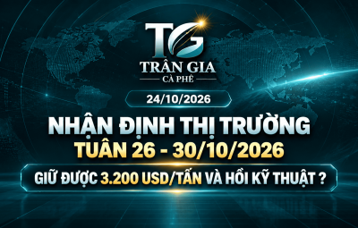 24/10/2026 - TỔNG KẾT TUẦN 19-23, NHẬN ĐỊNH THỊ TRƯỜNG TUẦN 26-30/10
