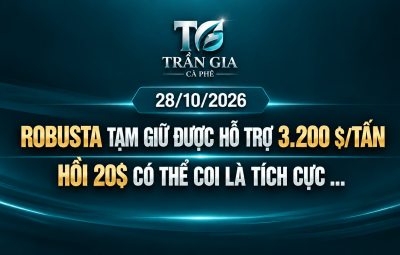 28/10/2026 – ROBUSTA GIỮ ĐƯỢC 3.200 USD/TẤN LÀ TÍN HIỆU TÍCH CỰC!