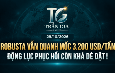 29/10/2026 – ROBUSTA VẪN QUANH QUẨN MỐC 3.200 USD/TẤN: ĐỘNG LỰC PHỤC HỒI CÒN KHÁ DÈ DẶT!