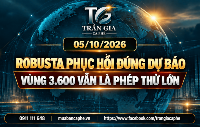 05/10/2026 – ROBUSTA PHỤC HỒI ĐÚNG DỰ BÁO TUẦN TRƯỚC, VÙNG 3.600 VẪN LÀ PHÉP THỬ LỚN