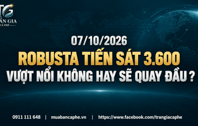 07/10/2026 – ROBUSTA CHẠM 3.600: NHỊP HỒI GẶP PHÉP THỬ QUAN TRỌNG