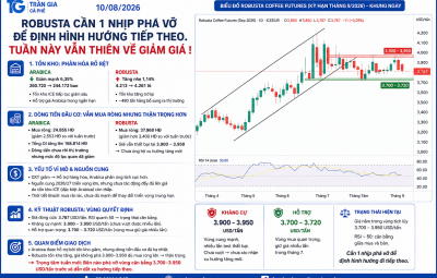 10/08/2026 - ROBUSTA CẦN 1 NHỊP PHÁ VỠ ĐỂ ĐỊNH HÌNH HƯỚNG TIẾP THEO – TUẦN NÀY VẪN THIÊN VỀ GIẢM GIÁ!