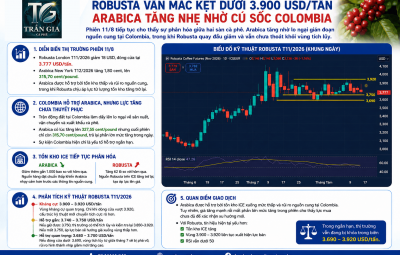 12/08/2026 - ROBUSTA VẪN MẮC KẸT DƯỚI 3.900 USD/TẤN – ARABICA TĂNG NHẸ NHỜ CÚ SỐC COLOMBIA