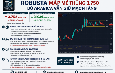 13/08/2026 - ROBUSTA MẤP MẺ THỦNG 3.750 DÙ ARABICA VẪN GIỮ MẠCH TĂNG
