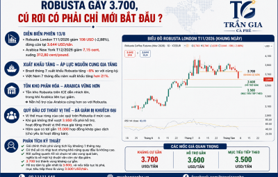 14/08/2026 - ROBUSTA GÃY 3.700, CÚ RƠI CÓ PHẢI CHỈ MỚI BẮT ĐẦU?