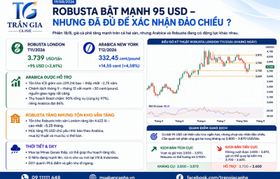 19/08/2026 – ROBUSTA TĂNG 95 USD, ĐÀ HỒI PHỤC ĐANG ĐƯỢC KIỂM ĐỊNH