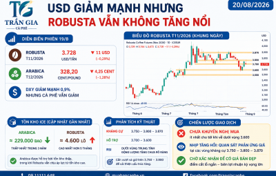 20/08/2026 – USD GIẢM MẠNH NHƯNG ROBUSTA VẪN KHÔNG TĂNG NỔI