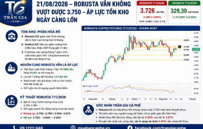 21/08/2026 - HAI SÀN ĐI NGANG, ROBUSTA VẪN BỊ 3.750 TỪ CHỐI