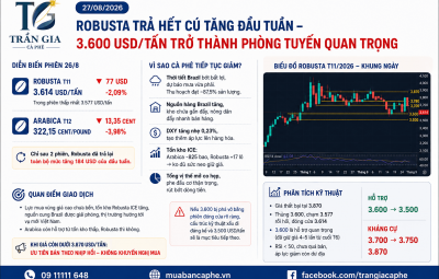 27/08/2026 – ROBUSTA TRẢ HẾT CÚ TĂNG ĐẦU TUẦN – 3.600 USD/TẤN TRỞ THÀNH PHÒNG TUYẾN QUAN TRỌNG