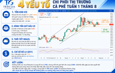03/08/2026 - 4 YẾU TỐ CHI PHỐI THỊ TRƯỜNG CÀ PHÊ TUẦN 1 THÁNG 8