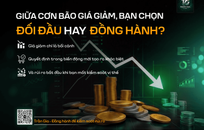 GIỮA CƠN BÃO GIÁ GIẢM, BẠN CHỌN ĐỐI ĐẦU HAY CHỌN ĐỒNG HÀNH ?