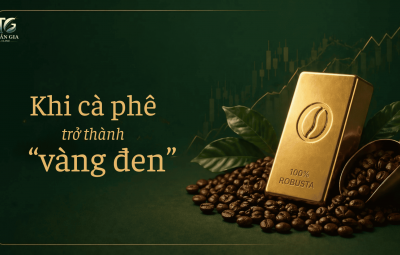 CÓ THỂ COI CÀ PHÊ NHƯ 